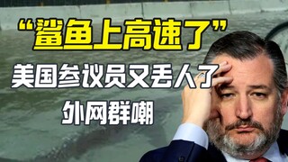 عضو مجلس الشيوخ الأمريكي يصدم من أن سمكة القرش صعدت إلى الطريق السريع.. الإنترنت الخارجي يهزأ