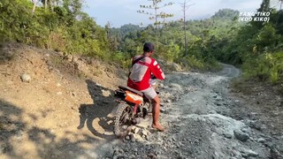 kemping di hutan lindung sulawesi 1 hari 1 malam