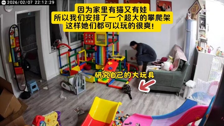 เหมียวเหมียวดูเหมือนจะรู้ว่าซื้อมาให้มัน วิ่งพล่านตื่นเต้นทั้งคืนเลย