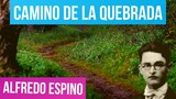 CAMINO DE LA QUEBRADA ALFREDO ESPINO 🌠👧 | Camino de la Quebrada Poema Alfredo Espino 🌄| Valentina