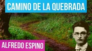 CAMINO DE LA QUEBRADA ALFREDO ESPINO 🌠👧 | Camino de la Quebrada Poema Alfredo Espino 🌄| Valentina