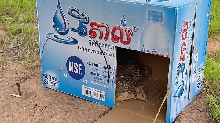 【Giải thuyết kỳ thú thế giới】Tác phẩm mới nhất của tôi, mau đến xem ngay nào!