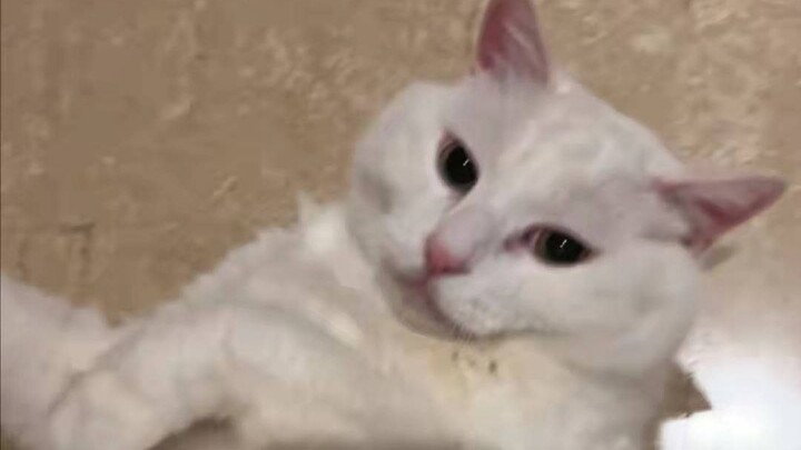 Effective Mopping vs. Ineffective Mopping