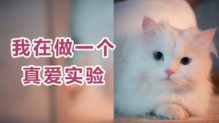 我在做一个“寻找真爱”的实验