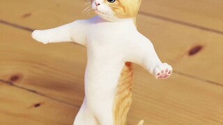 Cat dance