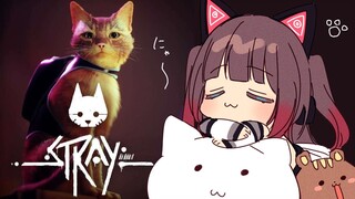 【stray】今日からまつりにゃんこです🐈【ホロライブ/夏色まつり】