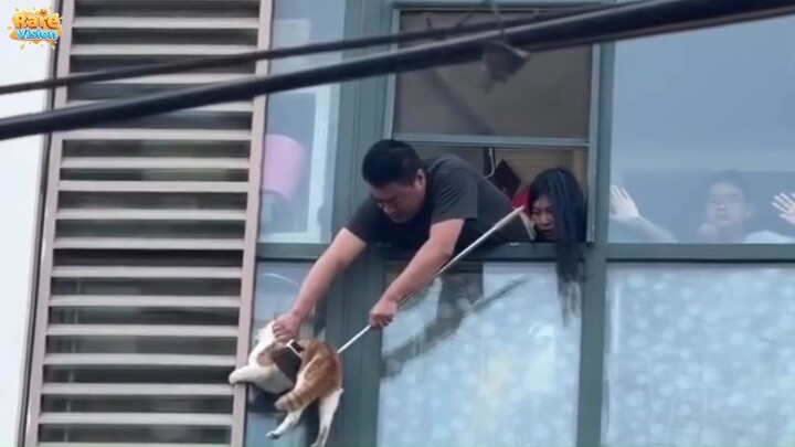 The Moment Everything Changed Heartbreaking to Heartwarming Rescues
