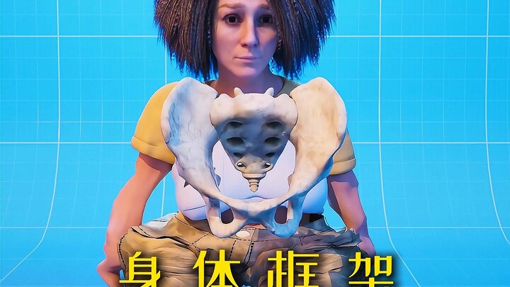 “身体框架：骨头有多厉害，有什么用途？”