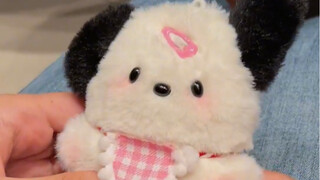 النجدة! من يستطيع أن يرفض الصغير بارا الذي يصيح؟! لطيف جدًا، لطيف جدًا!