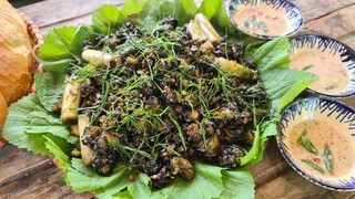 Cực mà ngon. Ốc khìa nước dừa bánh mì chấm muối ớt - Bin Đen Miền Tây # 176