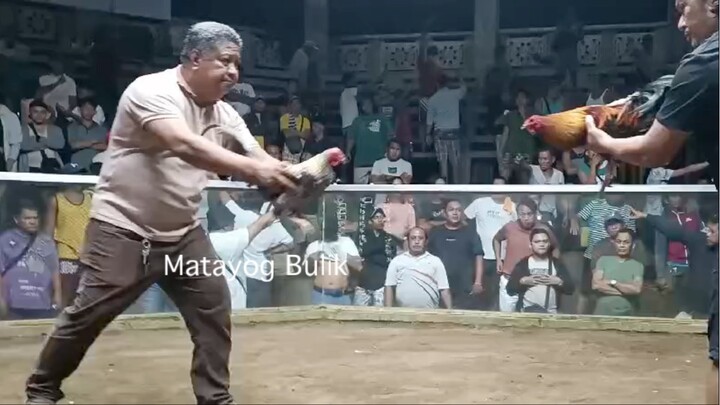 Matayog Bulik