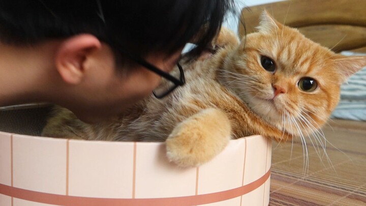 คนรักแมวหลายคนอาจไม่ทราบ 5 หน้าที่ของแมวเหล่านี้ ! !