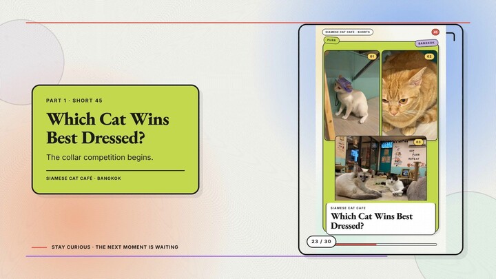 Siamese Cat Café #23 — Which Cat Wins Best Dressed? + Sleepy, Chaotic, Curious, or Regal?