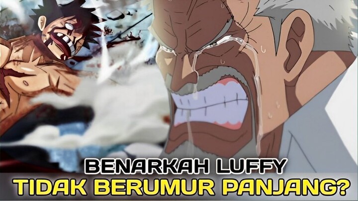 inilah alasan kemungkinan Luffy tidak berumur panjang