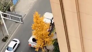 风的形状