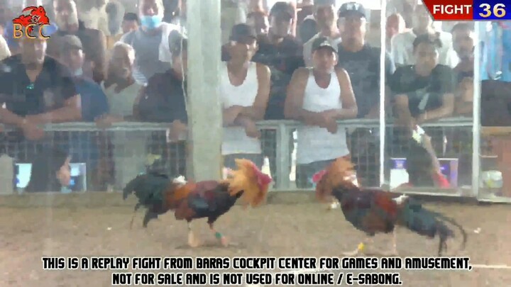 JMJ8 Red My 2Times Winner At BCC and Pasig Square.