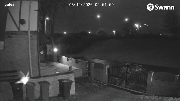 New Species 2026 - 20260311-025157