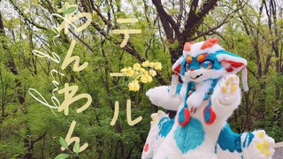 【兽装舞蹈】小毛毛龙尾巴！