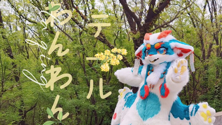 【兽装舞蹈】小毛毛龙尾巴！