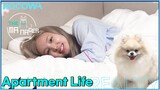 TWICE's NAYEON and MOMO's dorm life! l The Manager Ep205 [ENG SUB]