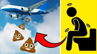 Rốt cuộc chất thải của hành khách máy bay đã đi đâu về đâu?