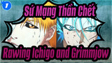 [Sứ Mạng Thần Chết]Rawing Ichigo and Grimmjow_1