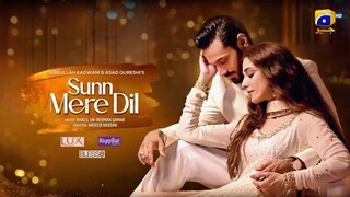Sunn Mere Dil Ep 12