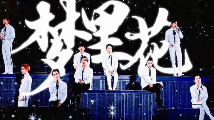 "The Only Pure White Jasmine on the K-Pop Stage"