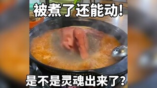 鸭子被煮了，竟然还能动