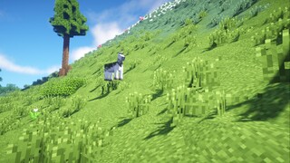 I'm so curious! Why aren't there any circles in Minecraft?