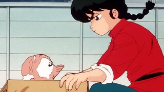 Ranma_Capitulo 38 -¡Cuidado con el ladrón!_