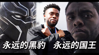【1080P/超燃/踩点混剪】永远的黑豹，永远的国王，黑豹燃向剪辑致敬查德维克博斯曼英雄逝世，愿超级英雄在天堂继续守护世界，瓦坎达Wakanda forever