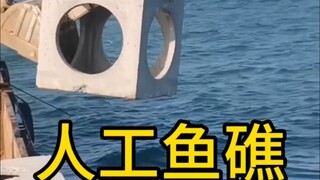 Ném những khối bê tông có lỗ xung quanh xuống biển có thể cải thiện rất tốt môi trường sinh thái dướ