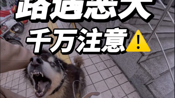 当你遇到恶犬一定不要慌张！