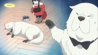 Mrs. Yoel's cooking was so bad that the dog was scared and went to complain to Huanghun~