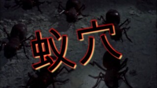 【怪兽博物馆】泰罗昆虫怪兽三部曲之蚁穴