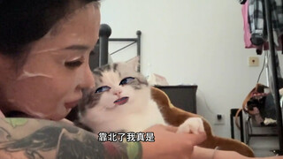 Di mana aku bisa menemukan anak kucing yang manja seperti itu?