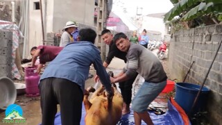 CỖ PHỤ NHÀ MỚI NGƯỜI THÁI 1 BÒ 2 LỢN 100 GÀ  600 CHIM ÉN  | TRAI BẢN