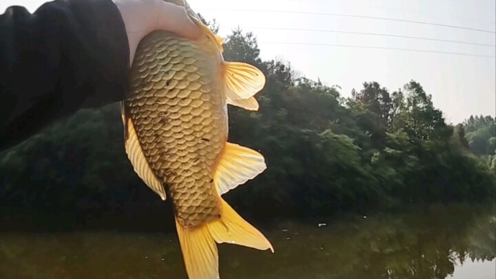 ค่าธรรมเนียมหนึ่งวันของอ่างเก็บน้ำ 10 Dou เป็นยังไงบ้าง