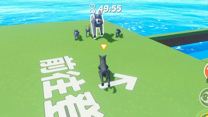 Little Wolf’s Big Adventure