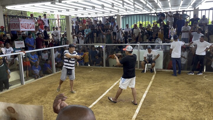 2nd fight 5 stag derby ( 2 wins 2 draw 1 loss)