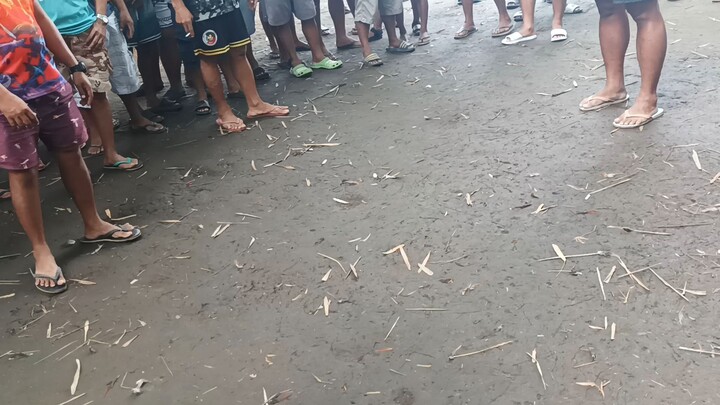 6 months na buyugin Vs SA magulang na 2x winner