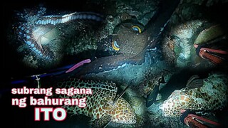 ep188, subrang sagana ang bahurang ito.night spearfishing Philippines.