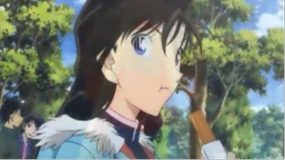 Shinichi and Ran AMV