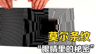 ลายโมเรลคืออะไร? เมื่อกระดาษกริดผ่าน "ลวดลาย" ปรากฏการณ์ทางวิทยาศาสตร์ที่น่าสนใจก็เกิดขึ้น