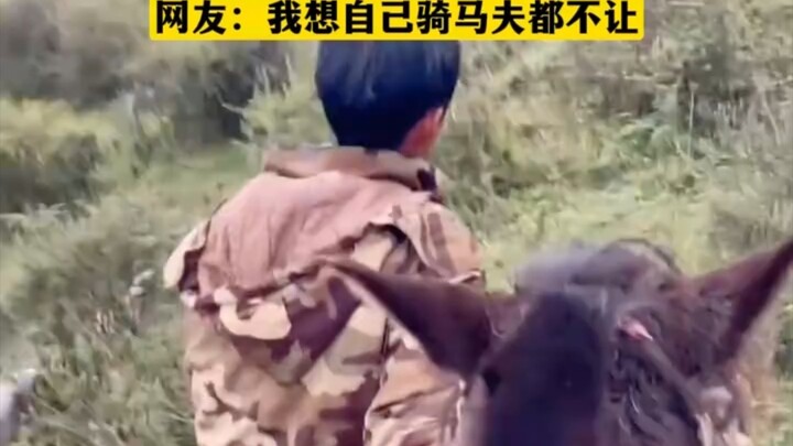 Cô gái trải nghiệm cưỡi ngựa gặp một cậu bé “đánh trống bỏ dùi”, liền buông tay để cô tự mình cưỡi n