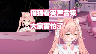 【هيرو】مجموعة من القطط تضحك على نفسها