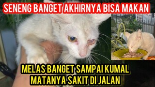 Allahu Akbar Kucing Sakit Mata Minta Tolong Di Obati Pinggir Jalan..!