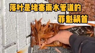 为什么说落叶是堵塞雨水管道的罪魁祸首？ #科普 #解压 #清洁 #涨知识