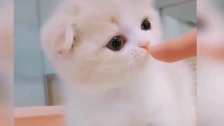 กลิ่นอะไรหอมจังเลย